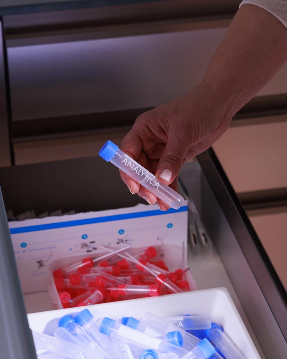 Porträt von  Tamara Litschi