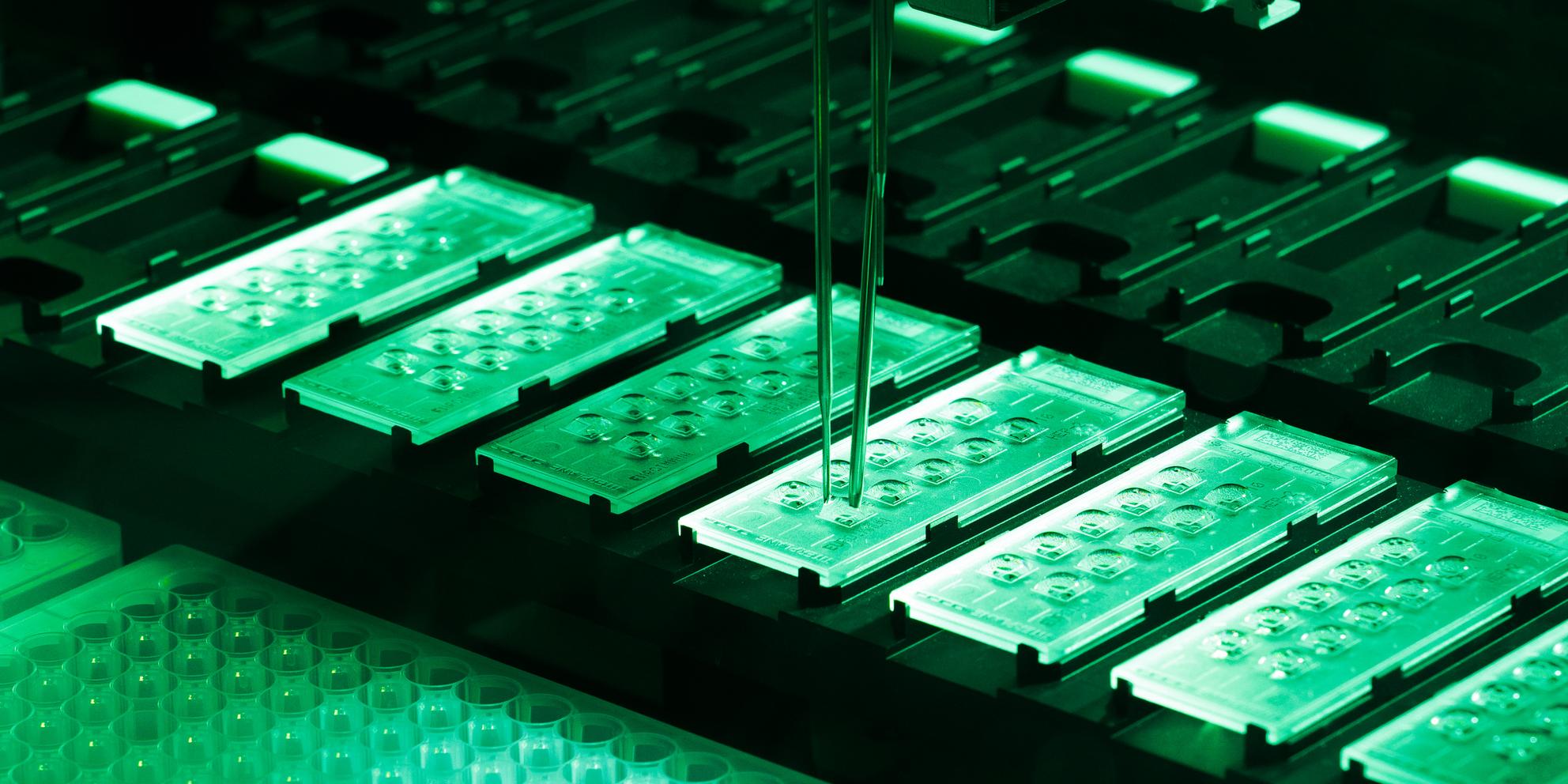 Bild von Immunologie