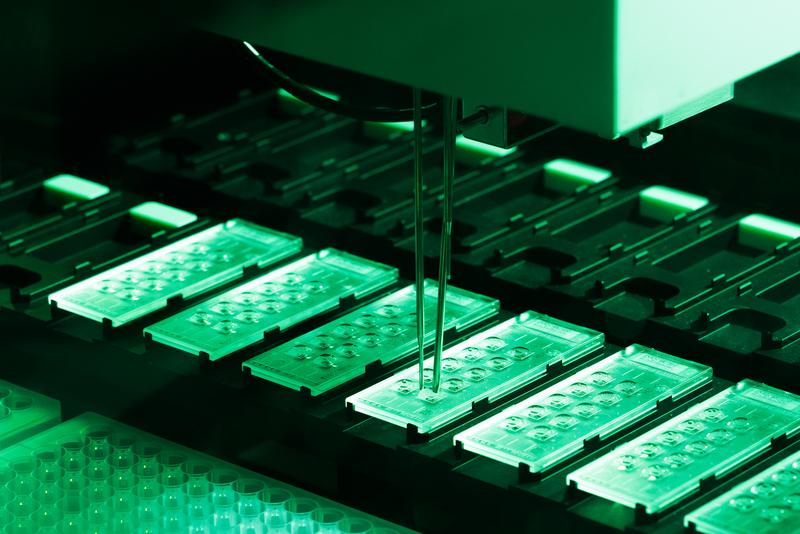 Bild von Immunologie