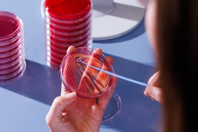 Bild von Mikrobiologie