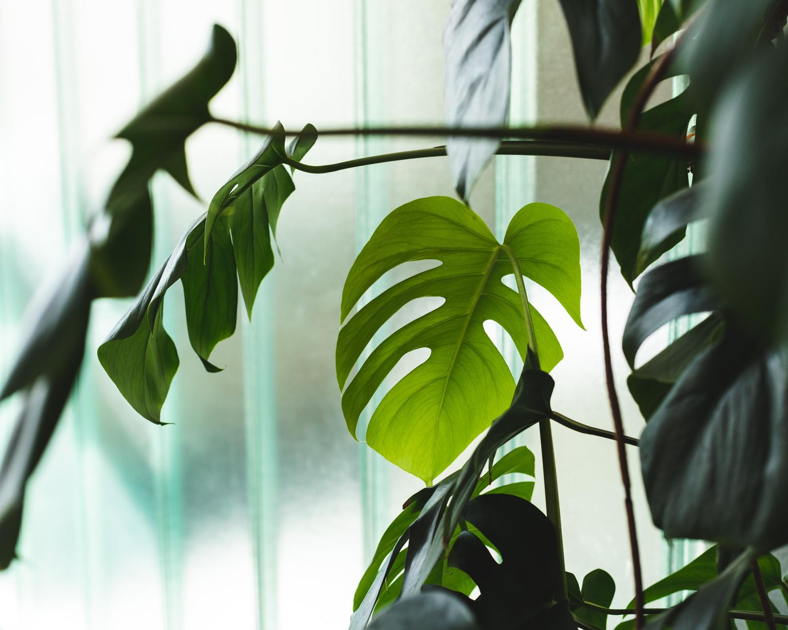 Porträt von  Maria Muster