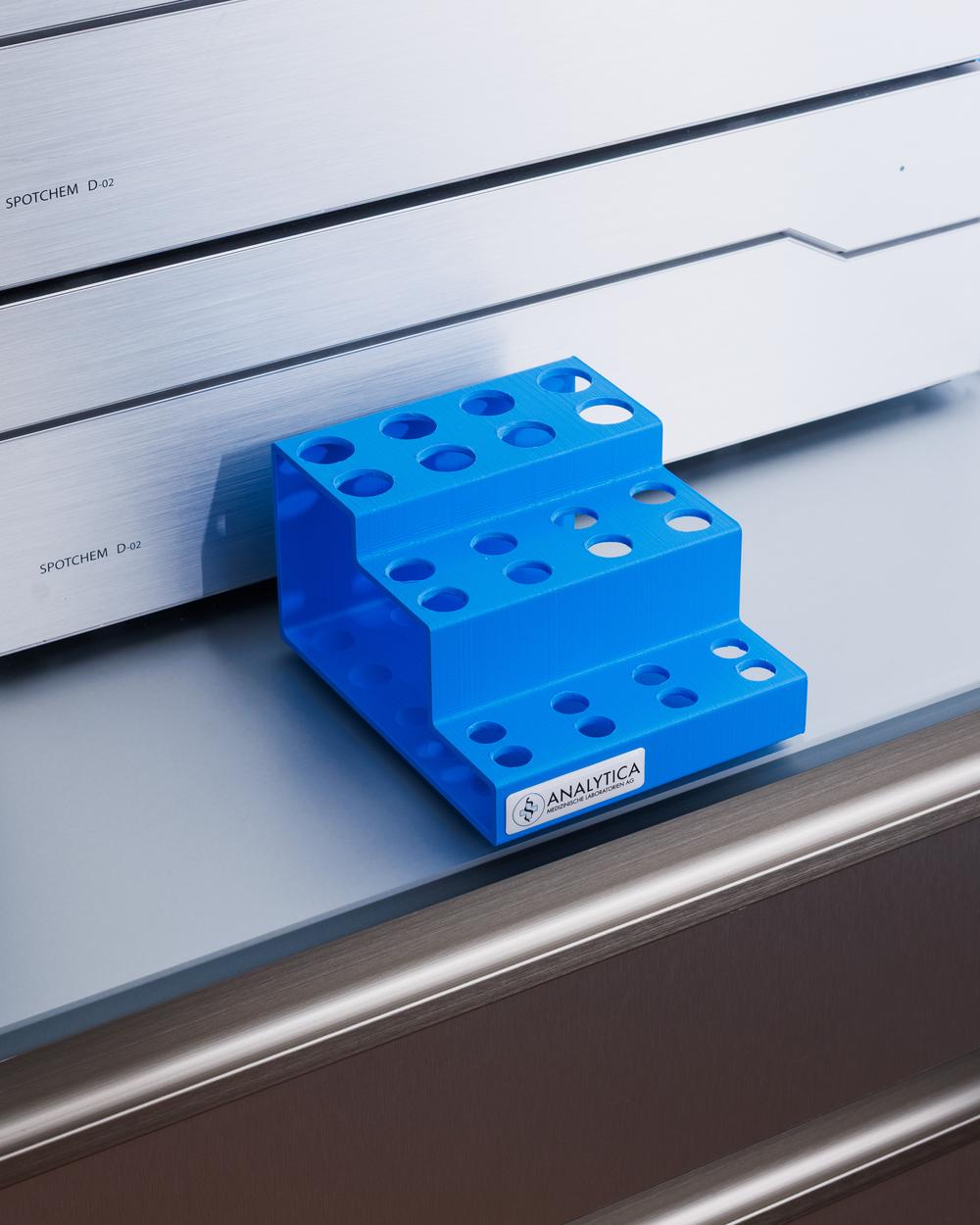 Porträt von  Arianna Ragozzino