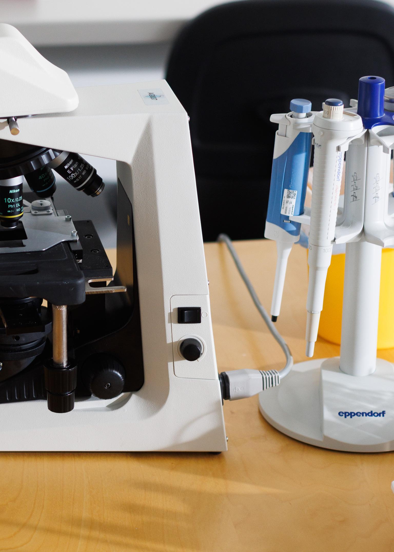 Bild von Blutbilddifferenzierung Basis