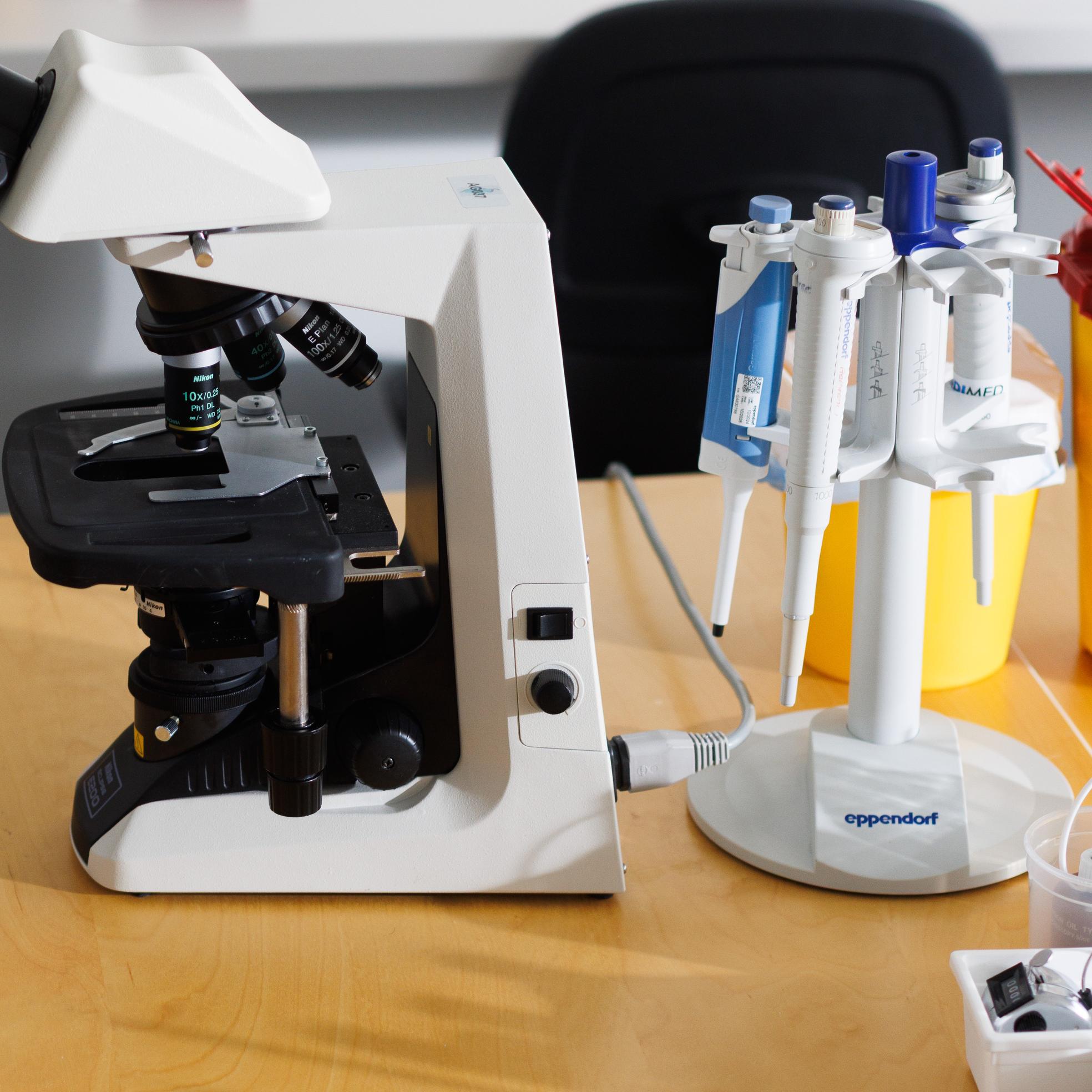 Bild von Blutbilddifferenzierung Basis