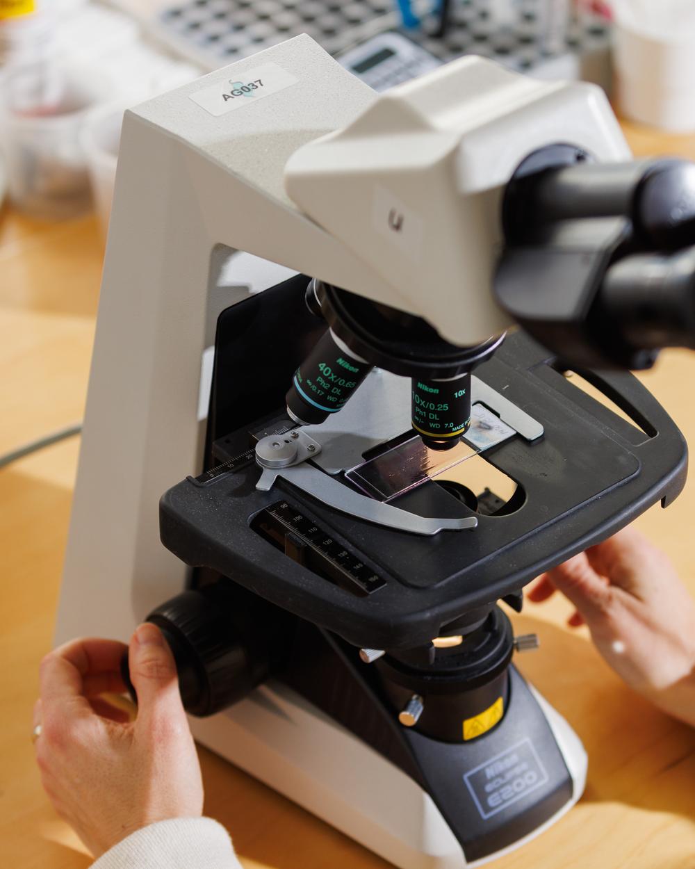 Porträt von  Vanessa Jacky