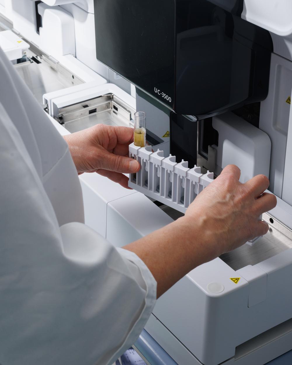 Porträt von  Cornelia Rigaux