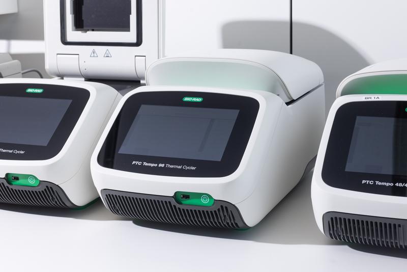 Bild von Hämoglobinopathien