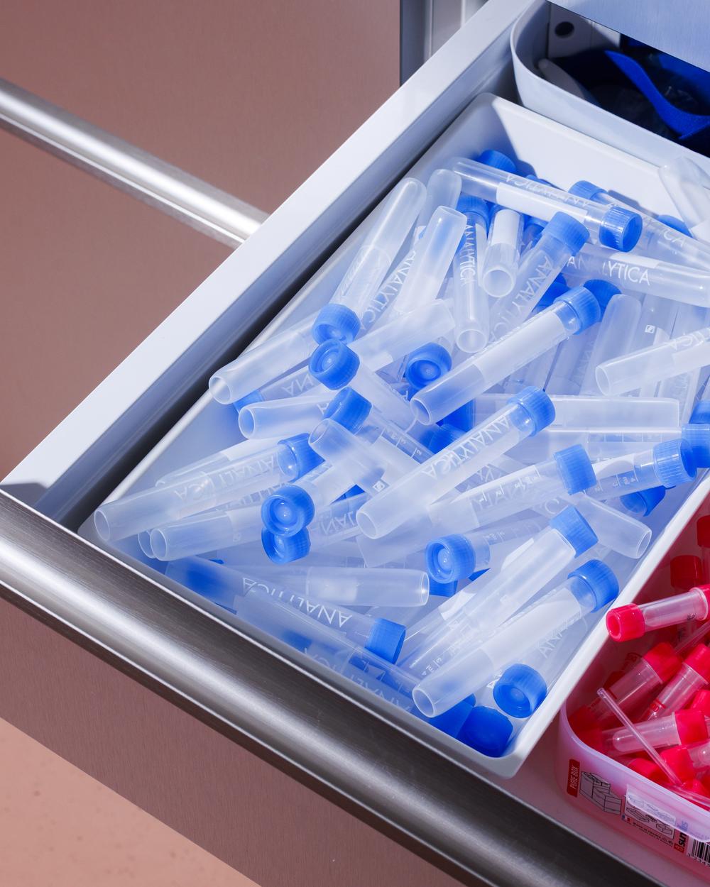 Porträt von  Franziska Felzmann